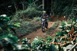 BIB: 
                            <button type="button" onclick="openModal(25857720)" class="btn btn-primary btn-sm float-right btn-popup" data-toggle="modal" data-target=".modal-high-quality">
                        <i class="fas fa-shopping-cart"></i> Add to Cart
                    </button>
                                            <button type="button" onclick="isThisMe(25857720, true)" class="btn btn-success btn-sm float-right btn-popup btn-isme hidden" data-toggle="tooltip" data-placement="bottom" title="นี่คือรูปของคุณใช่ไหม คลิกที่นี่เพื่อเอาเข้าอัลบั้ม">
                        <i class="fas fa-plus"></i> Add to album
                    </button>
                    <button type="button" onclick="isThisMe(25857720, false)" class="btn btn-warning btn-sm float-right btn-popup btn-isnotme hidden">
                        <i class="fas fa-ban"></i> Remove from album
                    </button>